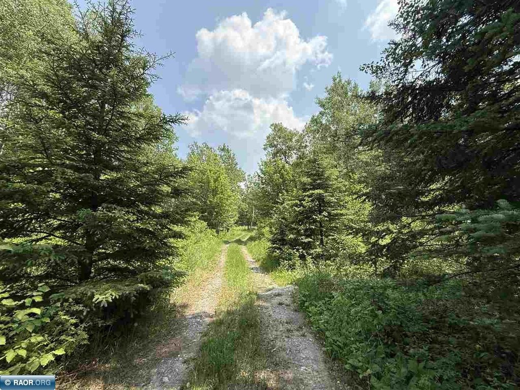 Picture 28