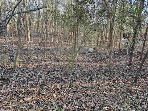 Lots/Land, Waterloo, SC