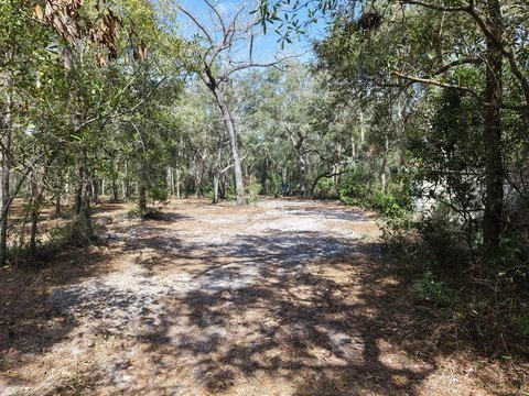 Semi-Wooded Lot Near Fanning Springs
