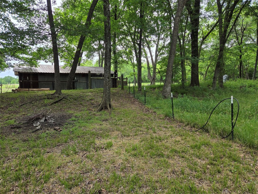 Picture 10