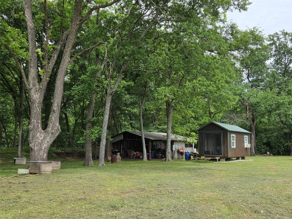 Picture 9