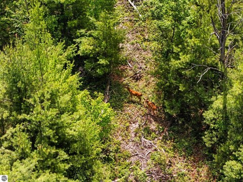 Hunting Land Bordering State Land