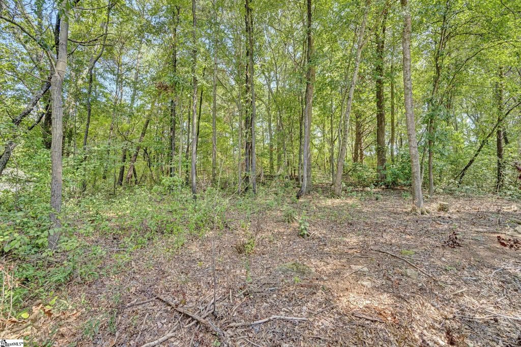 Picture 31