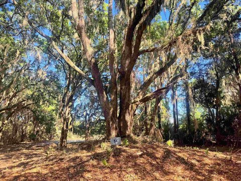 Homesite Near Beach in Georgetown