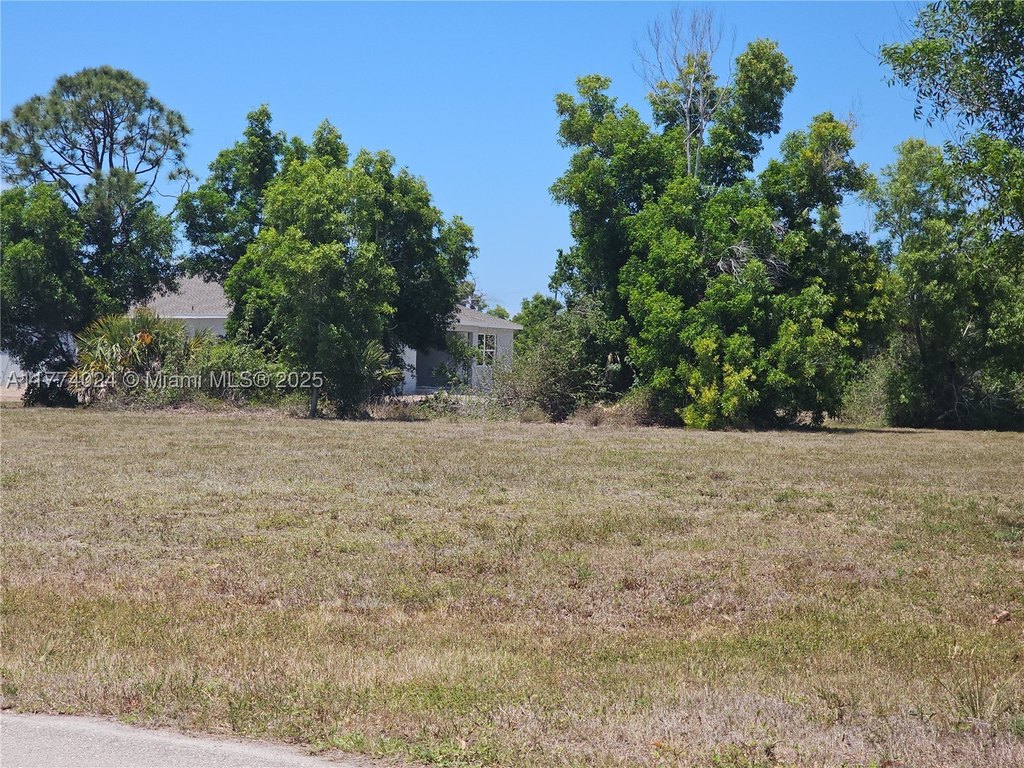 Picture 3