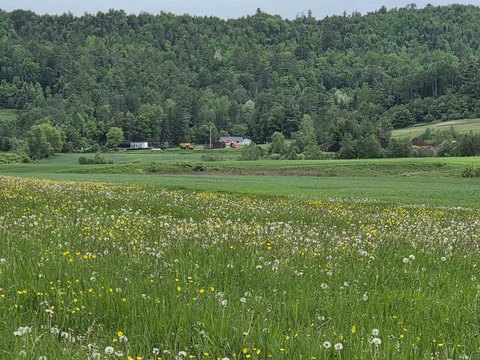 Waterfront Farmhouse Site Land