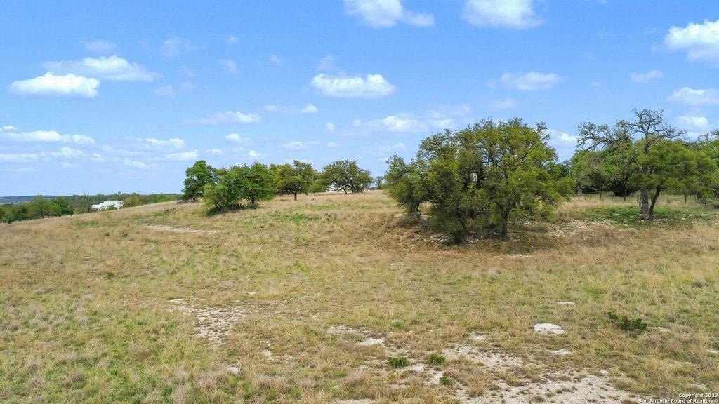 Picture 26
