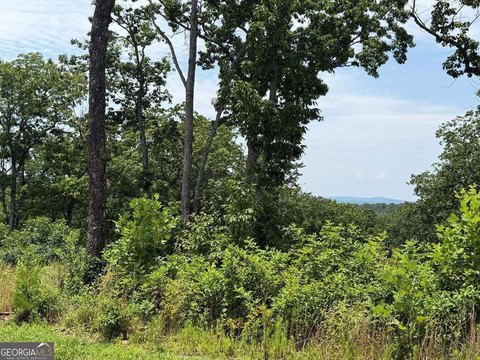 Land, Talking Rock, GA