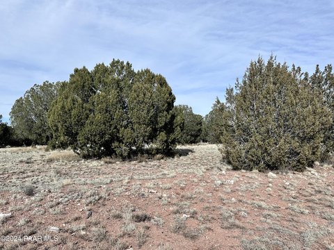 Seligman, AZ Land Parcel