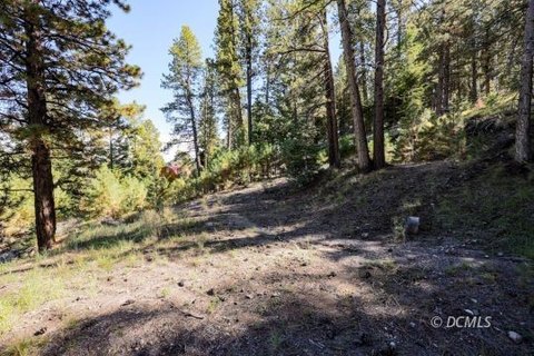 Single Family Lot, Panguitch Lake, UT