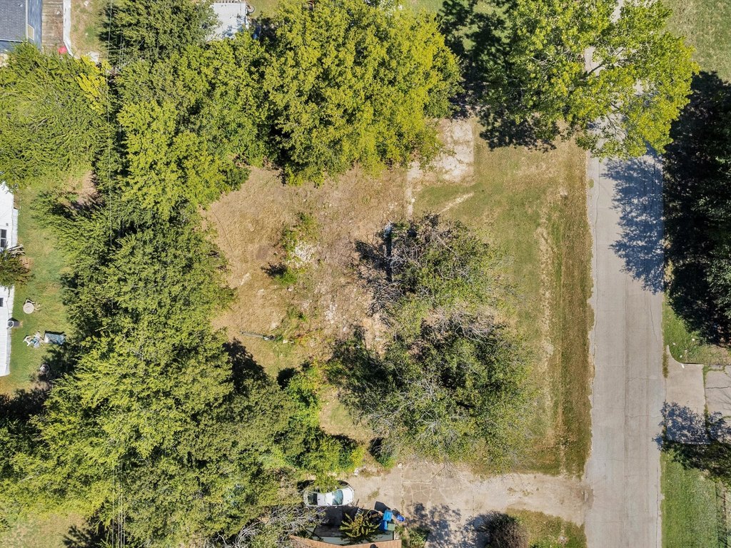 Picture 20