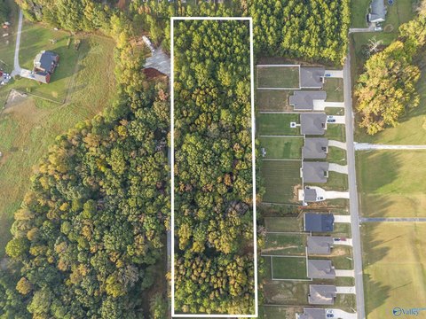 Land Parcel in Athens, Alabama