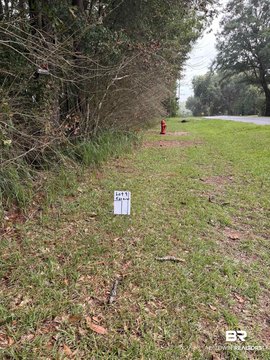 Wooded Lot with Road Frontage