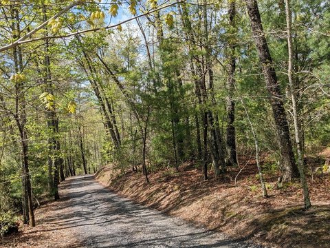 Wooded Mountain Home Lot
