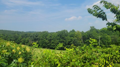 LAND - Beaver, OH