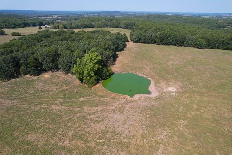 70 Acre Farm near Springfield