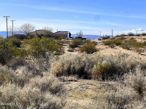 LAND - California City, CA