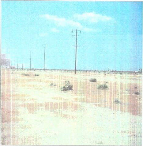 Picture 5
