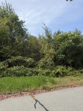 Land, Holden, MA