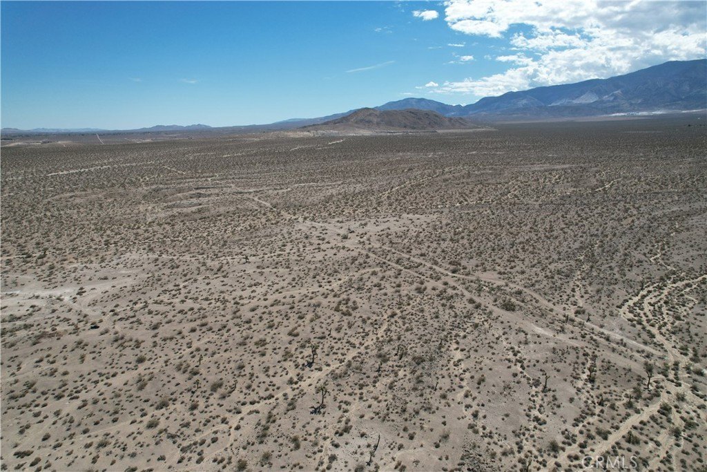 Picture 23