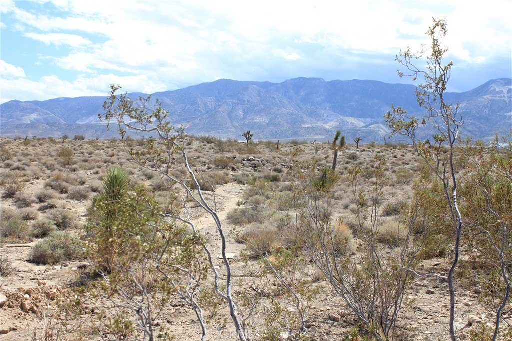 Picture 36
