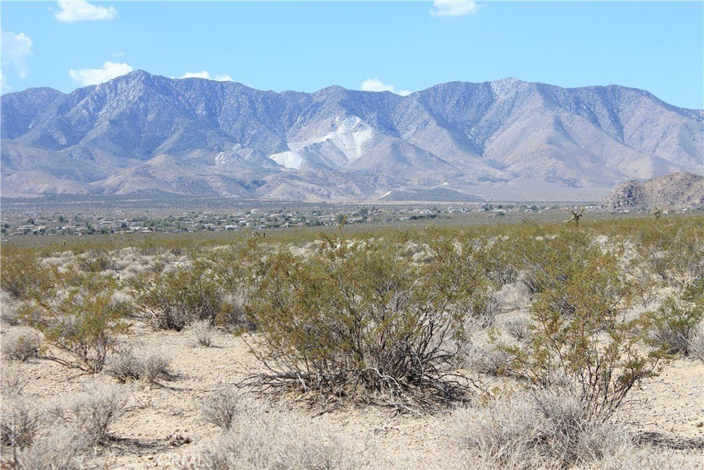 Picture 29