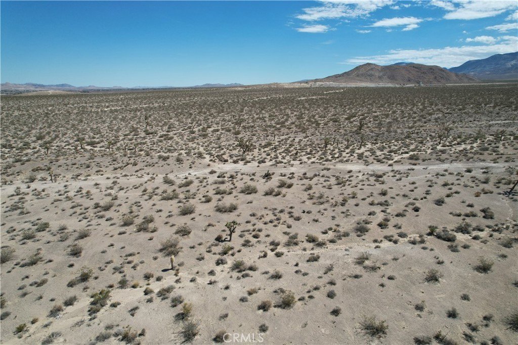 Picture 10