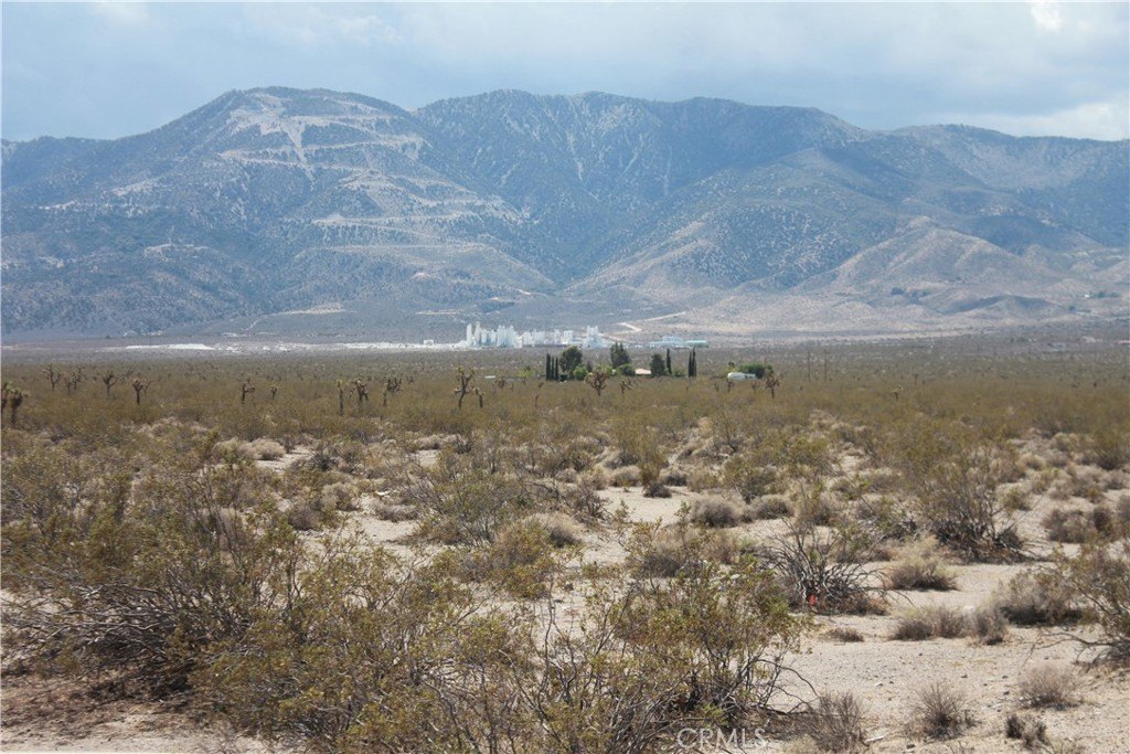 Picture 50