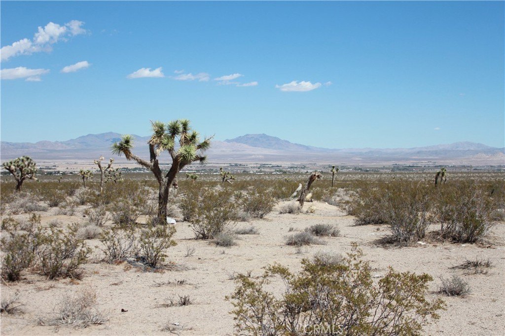 Picture 62