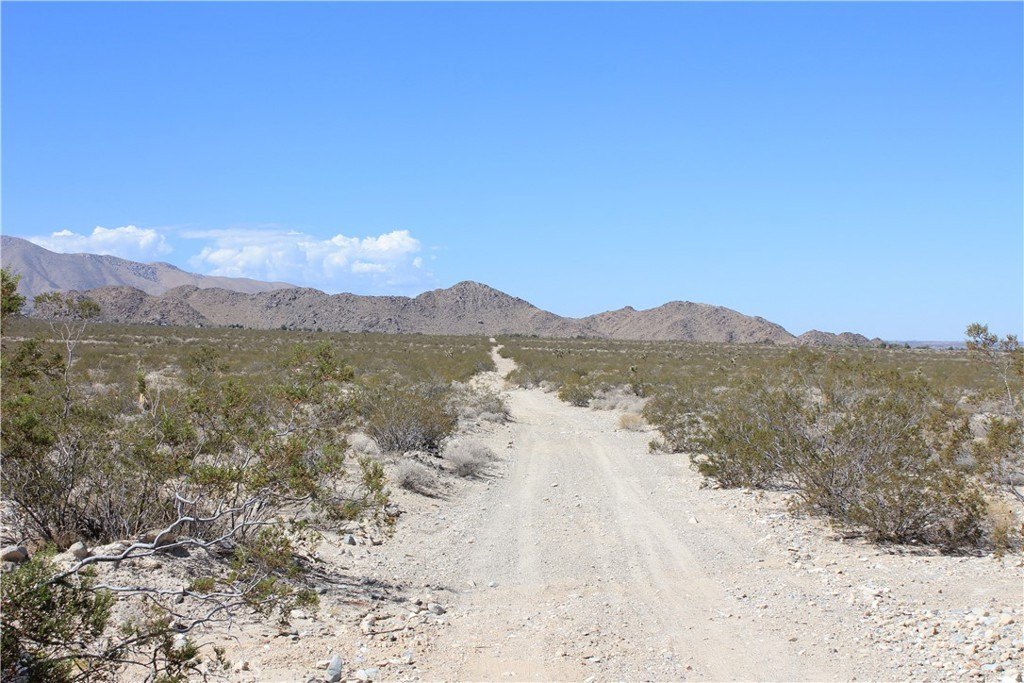 Picture 38