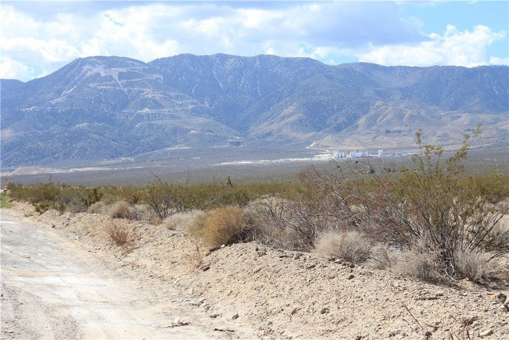 Picture 28