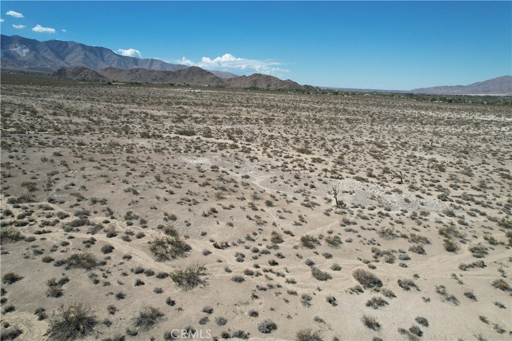 Picture 17