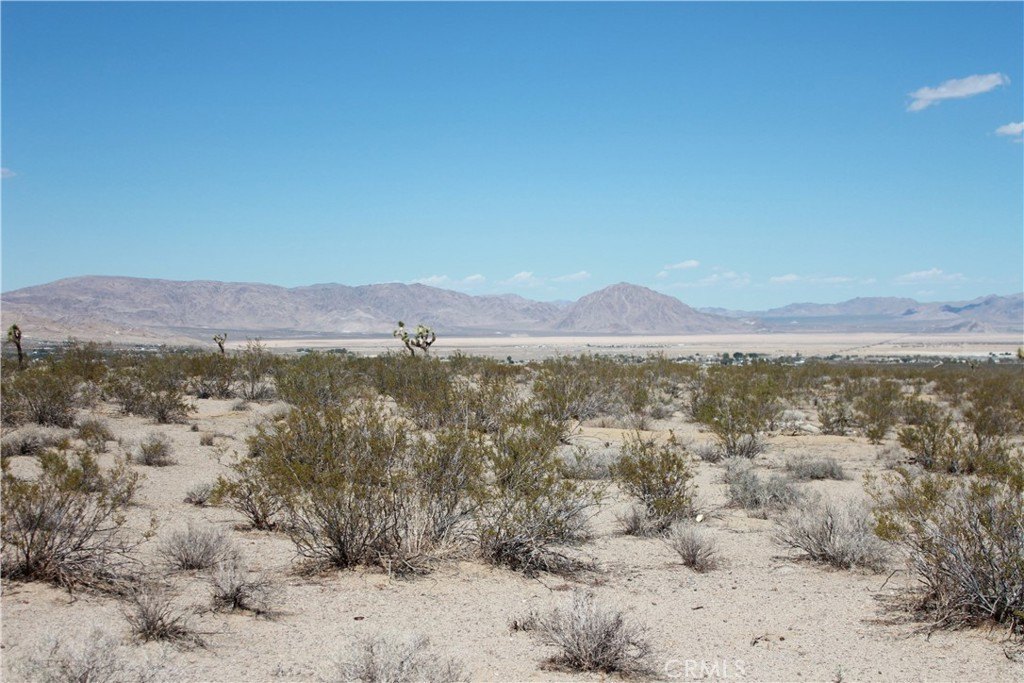 Picture 68