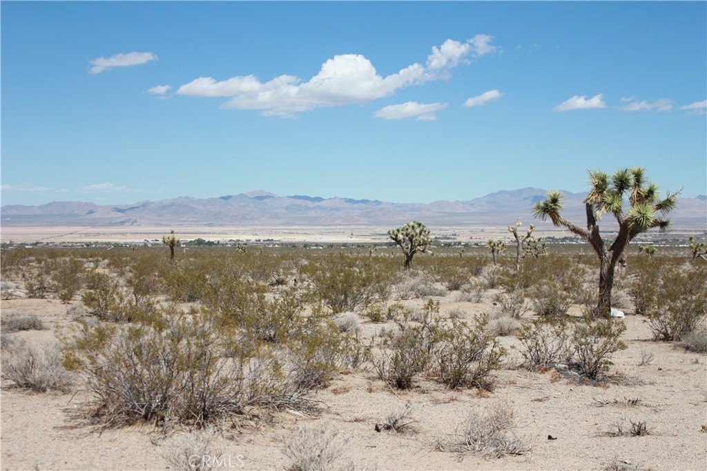 Picture 59