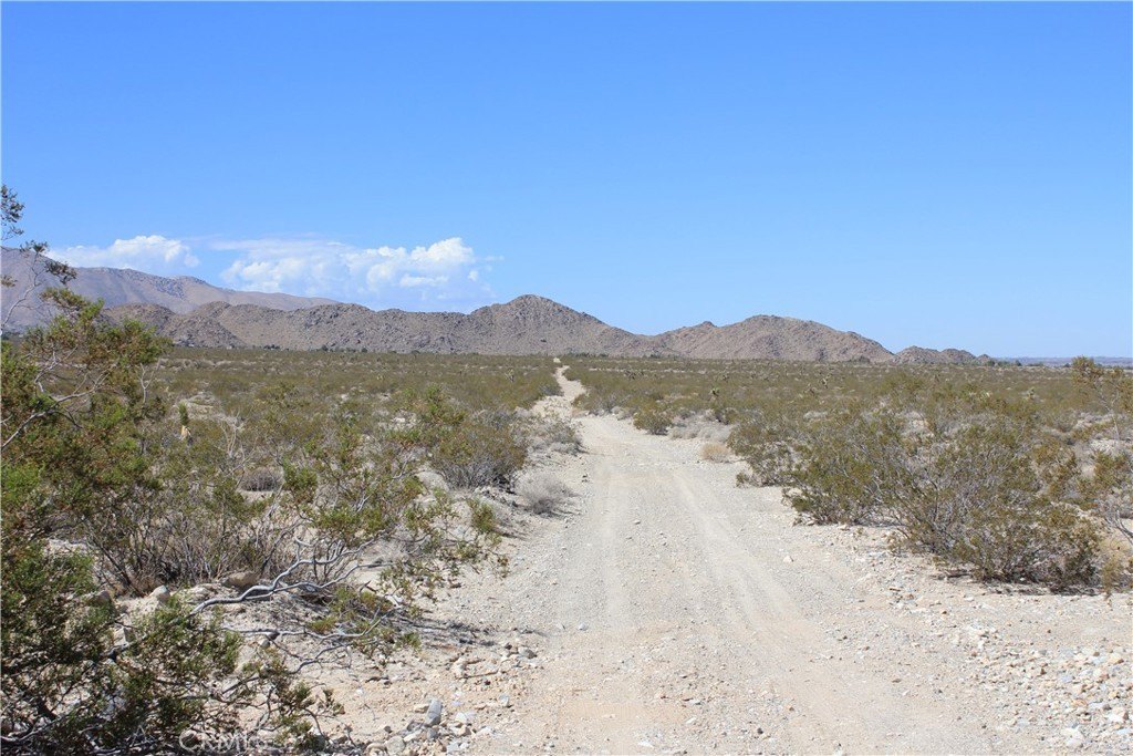 Picture 24