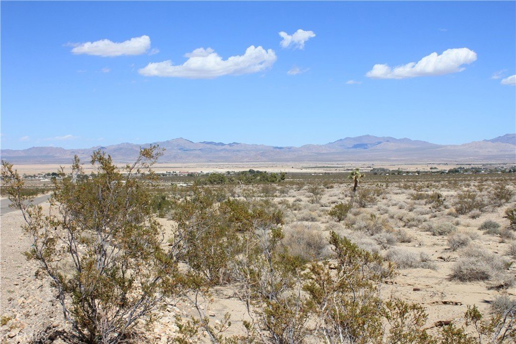 Picture 48