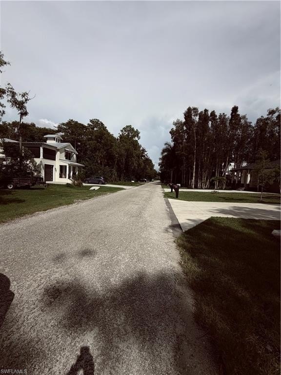 Picture 4