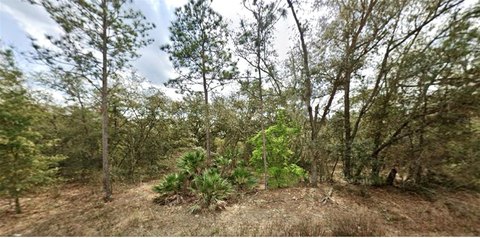 Land in Growing Interlachen Estates