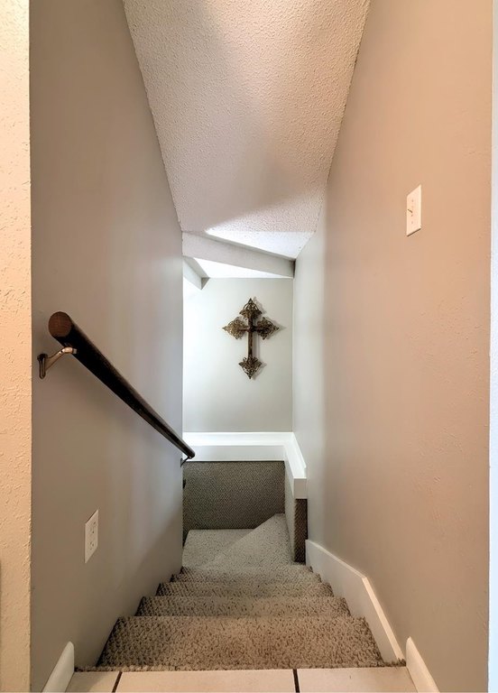 Picture 31