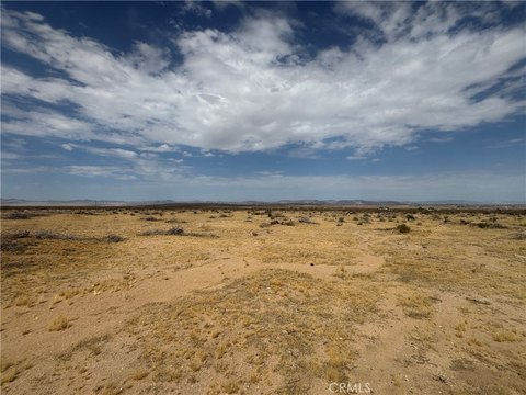 Land, Joshua Tree, CA