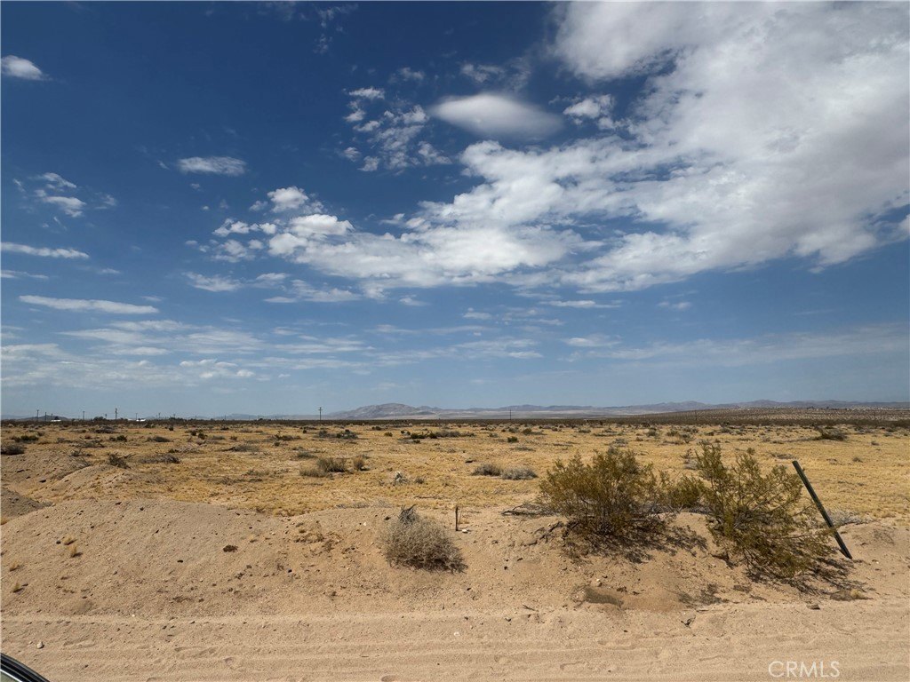 Picture 14