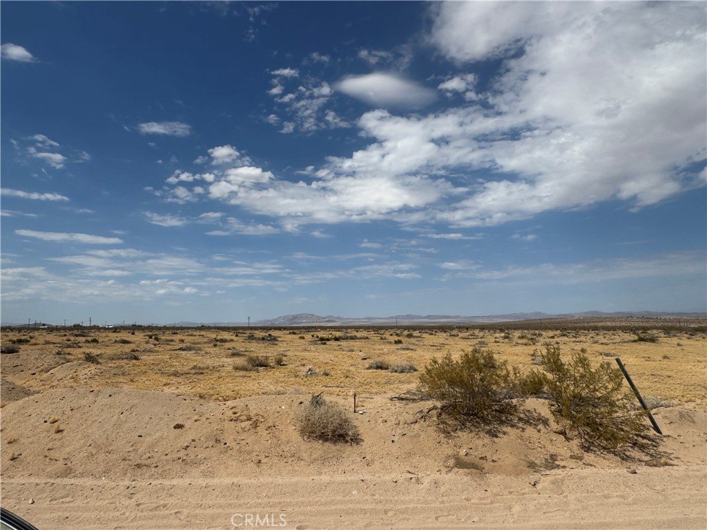 Picture 14