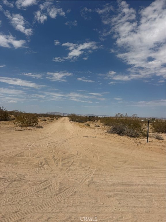 Picture 19