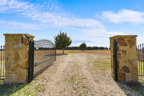 Vacant Land Tract with Cedar Trees