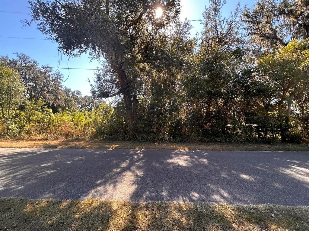 Picture 12