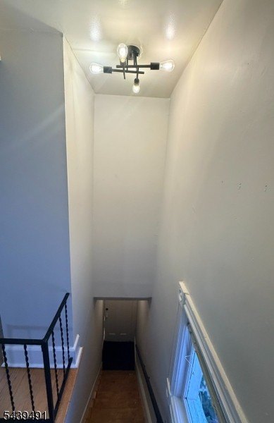 Picture 47
