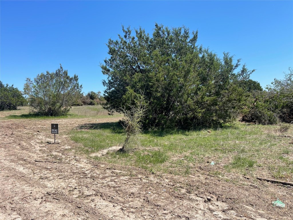 Picture 20