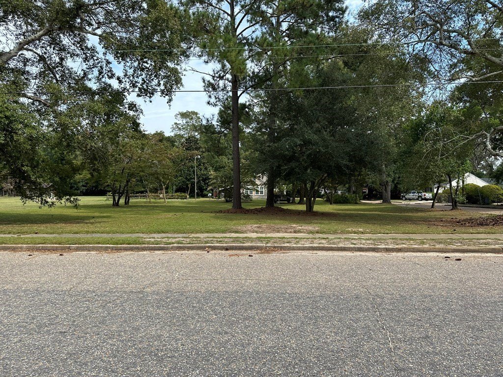 Picture 16