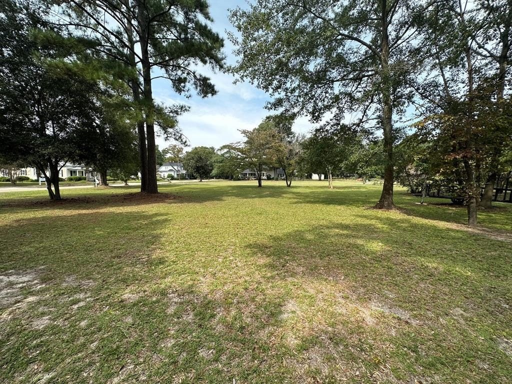 Picture 15