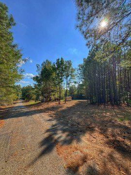 Land, Hamilton, AL